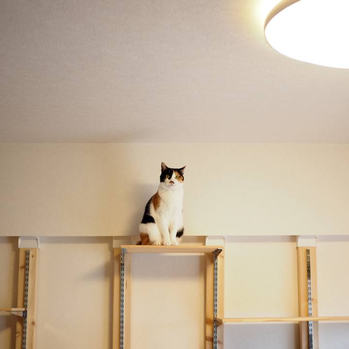 44f57c8b a8b9 4e62 8d7f 6b72b54441f7 1552723649691