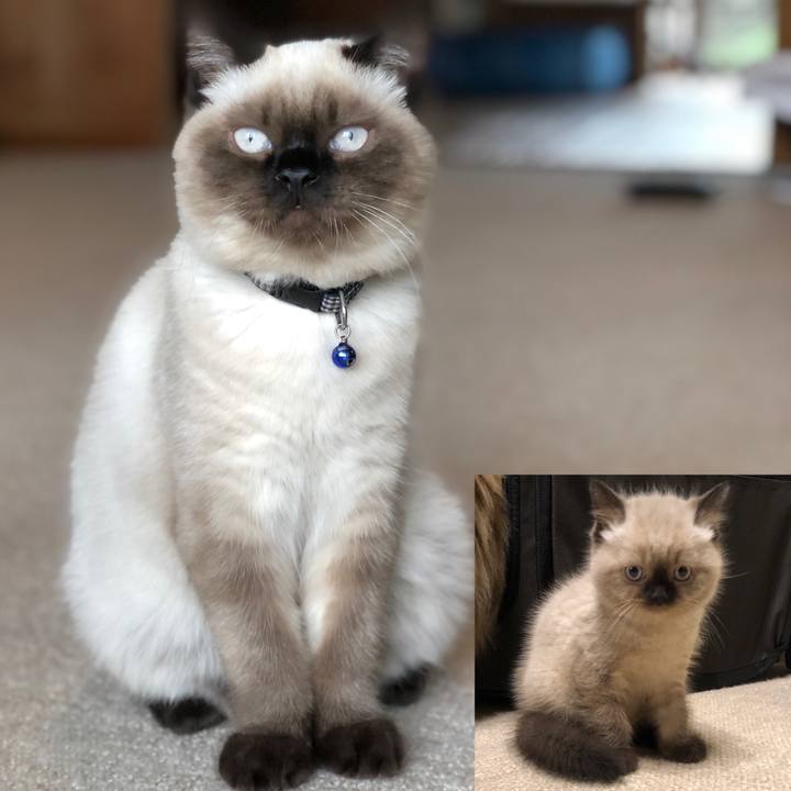 44f5a184 89a4 4c42 a8bd f1d6776f5c81 1592722172196