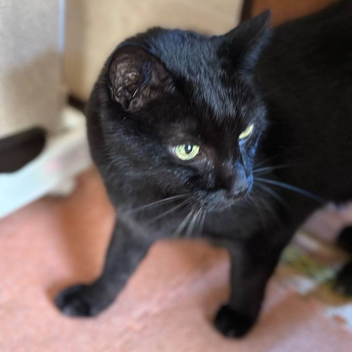 44f5dbc5 5aaf 4918 9a87 fc4846f50309 1699839521112