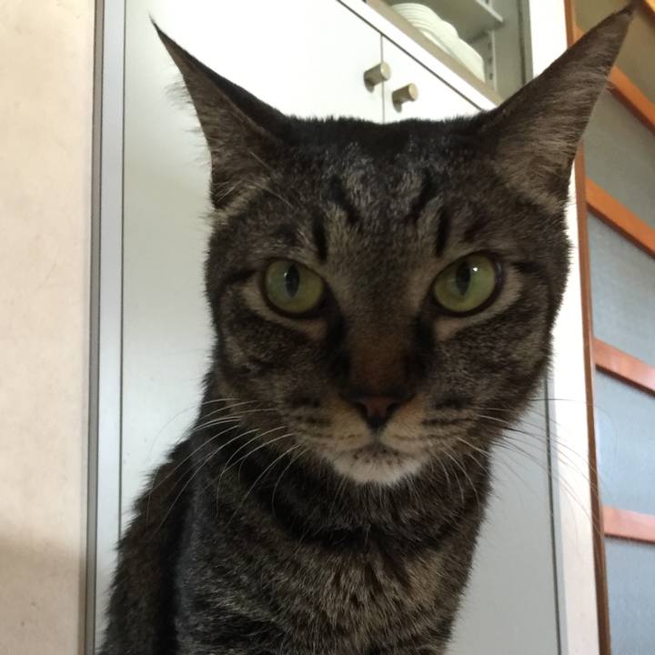 44f65203 c48c 418a 8104 4b8cc9ea7ea0 1564312976212