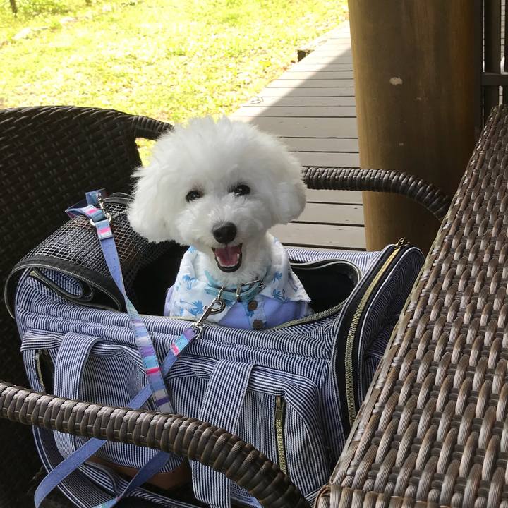 44f65554 02dc 408e aac4 83658364877d 1530692376736