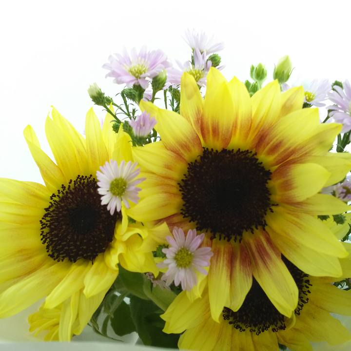 44f693e3 d60e 49de ada4 ba5b492240df 1569038543433