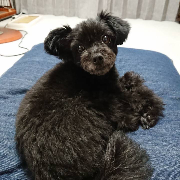 44f6a37e e34d 4f56 bf21 89a0a3ff0c3e 1531956836716