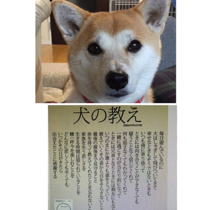 44f6ce8c 4821 4712 ae91 5de05963da98 1511406443820