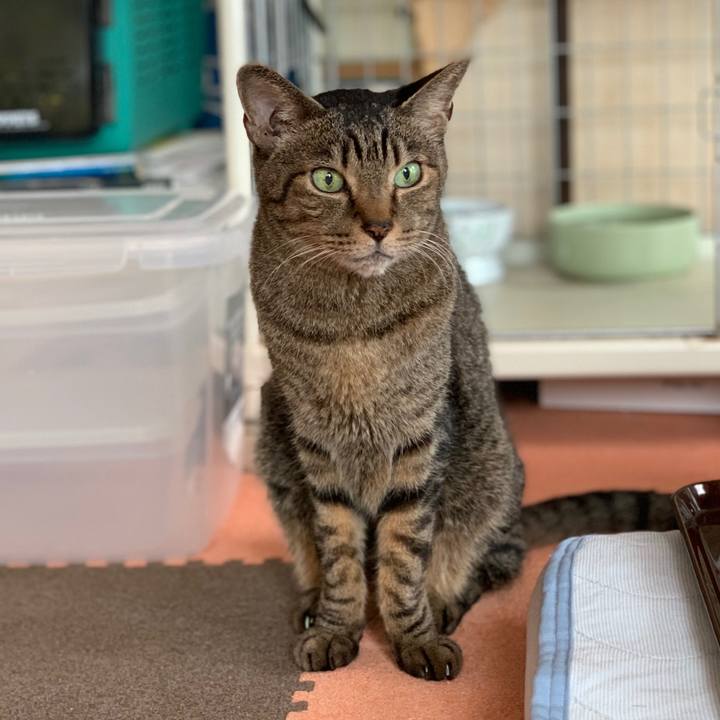 44f7161b 8788 4c5d b3ca 928046d7a908 1571361473942