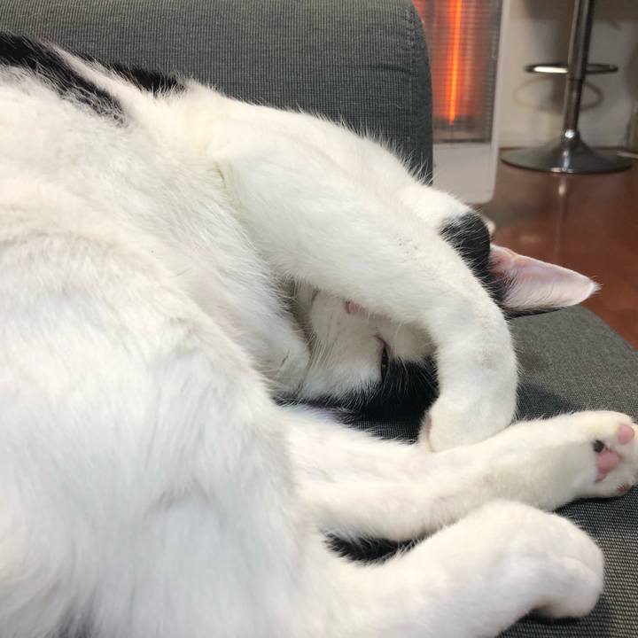 44f7278c 4617 443a ab55 e92fd30aa4ed 1521799282605