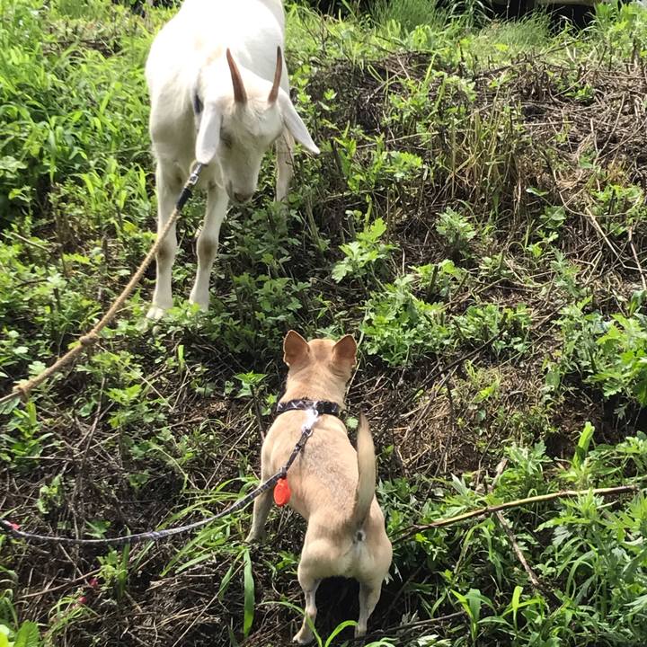 44f740e0 94dd 4bf9 aeaf ad03e9a7046a 1562471580768