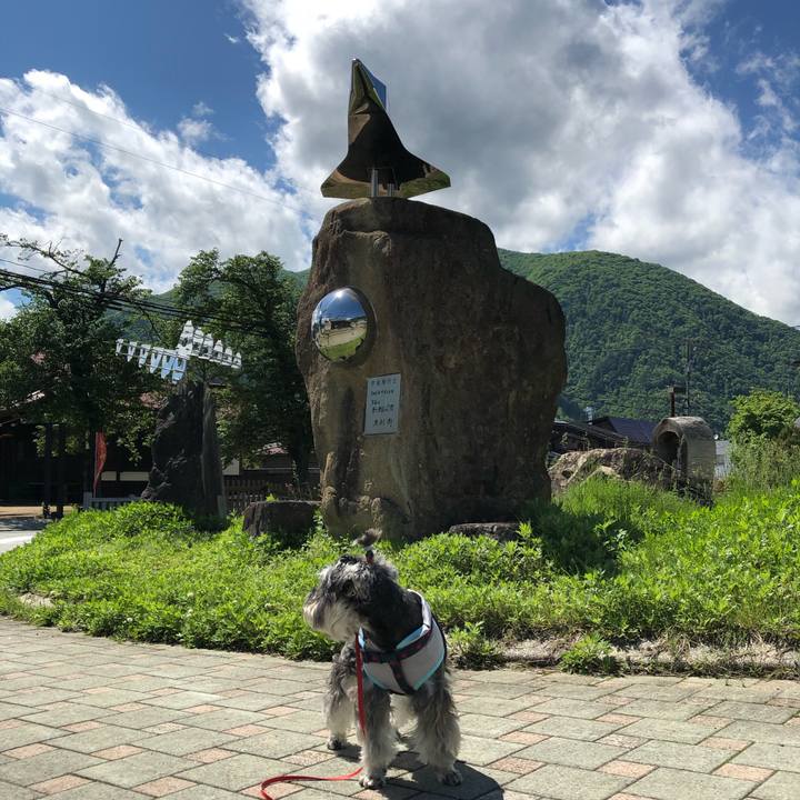 44f75166 3039 4ae9 834a 76e8fb2bf1e2 1621750082337