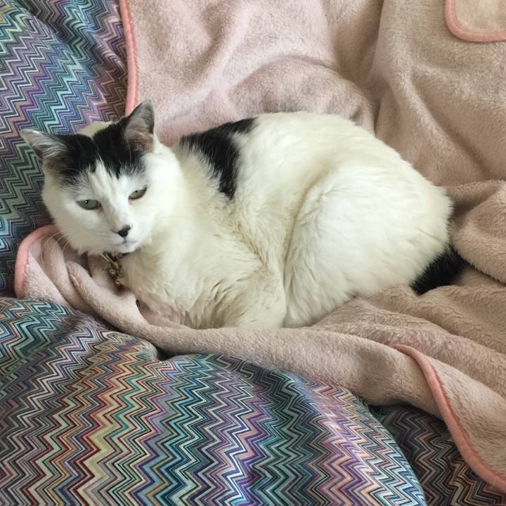 44f75e42 1eb8 4c82 bc8d 7b72851d2a04 1516664400950