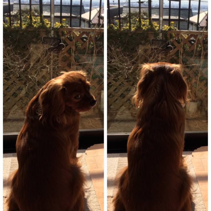 44f77427 439b 4d4c b497 453760f40b42 1518948288608