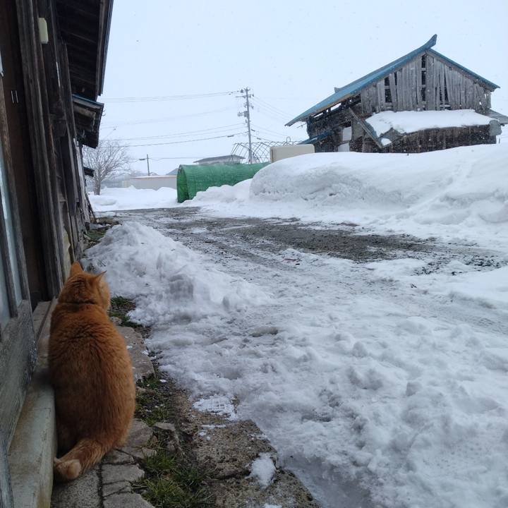 44f79bf0 6105 421a afdc b753f0c1592b 1675996232729