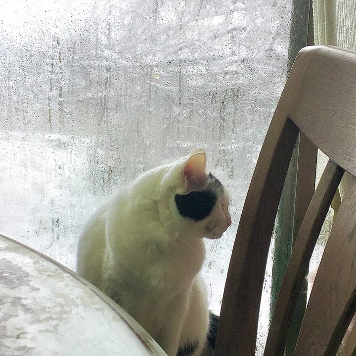 44f7c19f d441 456d 96a0 f0f49a4b2040 1608016851860