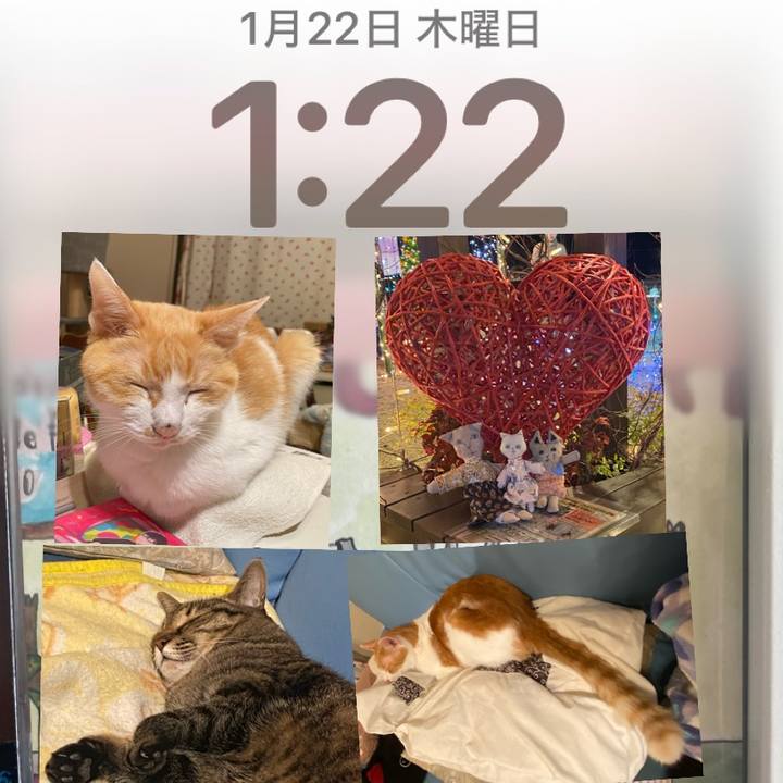 44f7eb48 2073 4b55 b5b2 e02be66f5e22 1769055975915