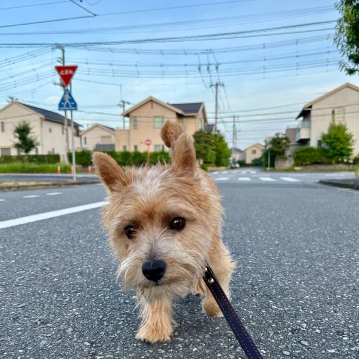 44f85203 26c2 454d 9c10 fa76166633a7 1722151891108