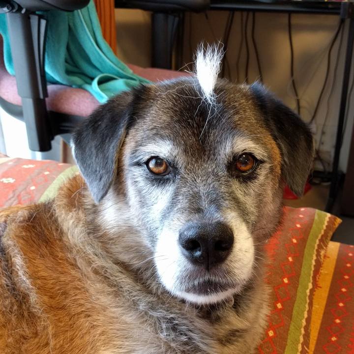 44f8b79e 8a34 4977 aedf 0d231e77ac01 1535701315550