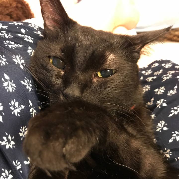 44f8da17 f985 4d61 bcc4 f859c628c72b 1527656910485