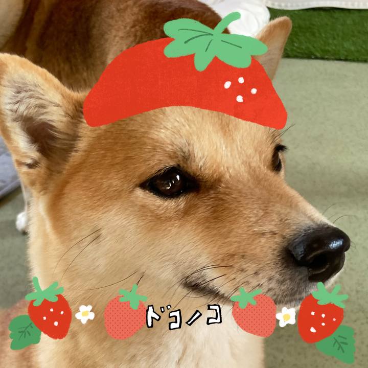 44f8e0e9 4154 4970 b8bd d2e96ae1dc45 1775183344998