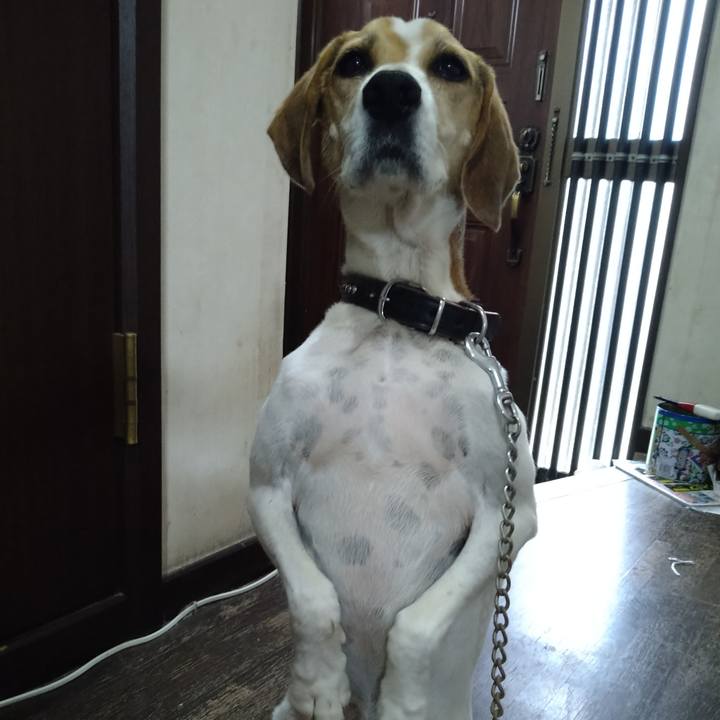 44f8f3ca 4e2b 4663 a81b d5b33ea14cb6 1661848284637