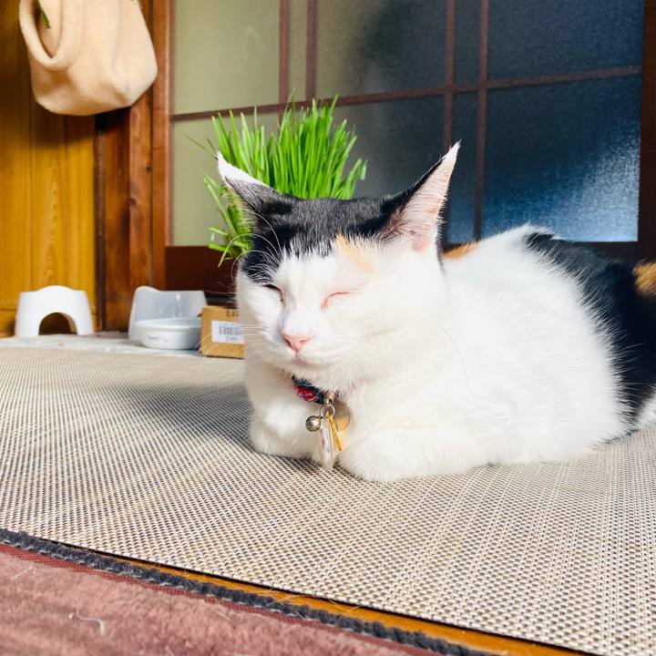 44f901a8 2f95 4067 aa57 66f415cdbc68 1749030098007