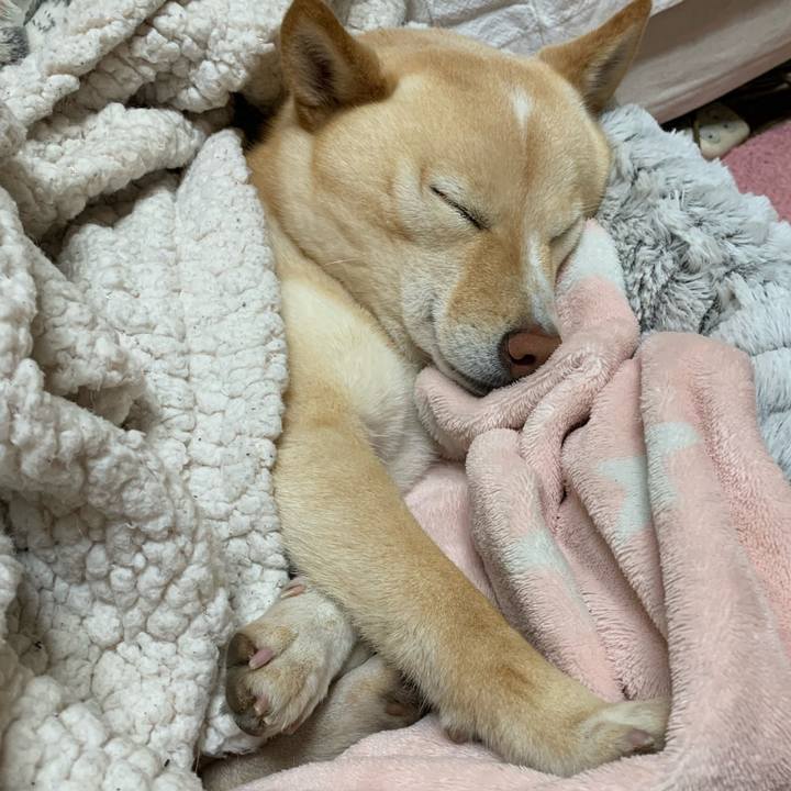 44f9694a c32b 4b65 afd1 98a4977910ae 1646225224066