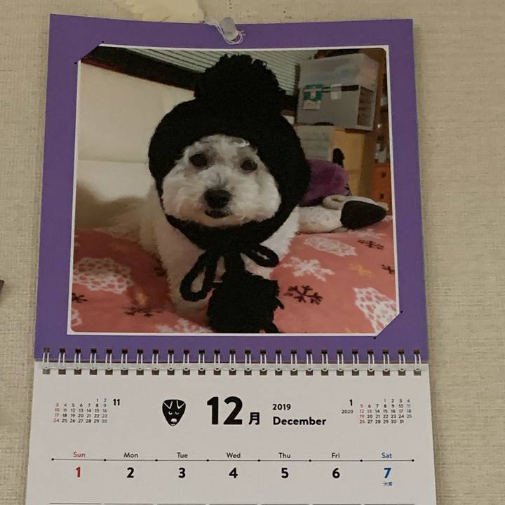 44f98f34 bc53 4c8c aeb5 2b1d18b1fb80 1575503690344