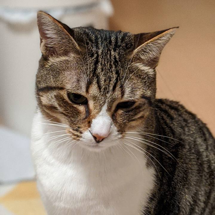 44f99235 82f3 49b8 9cdc 2335b8d15940 1591196479293