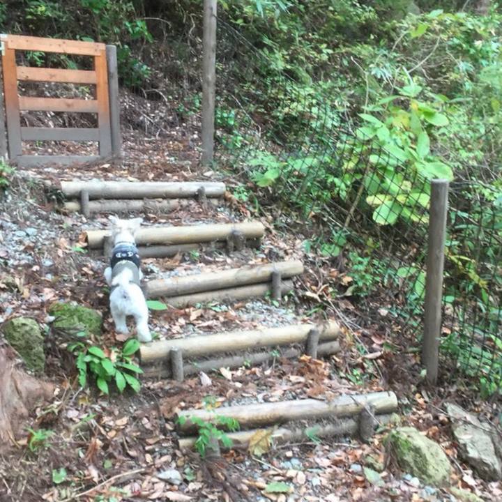 44f9ba79 d4cd 4034 a602 c405ce2f9b09 1510139013557