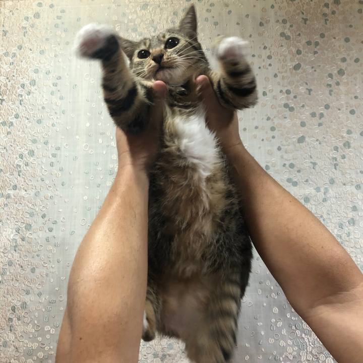 44f9fa46 ee90 420d 8294 f98d446ba9c7 1602248507047