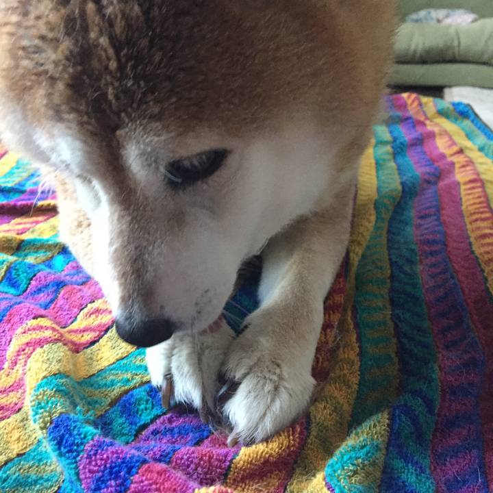 44fa34ad 4a37 4cc2 bb8d 22b189ba4eda 1521956334620