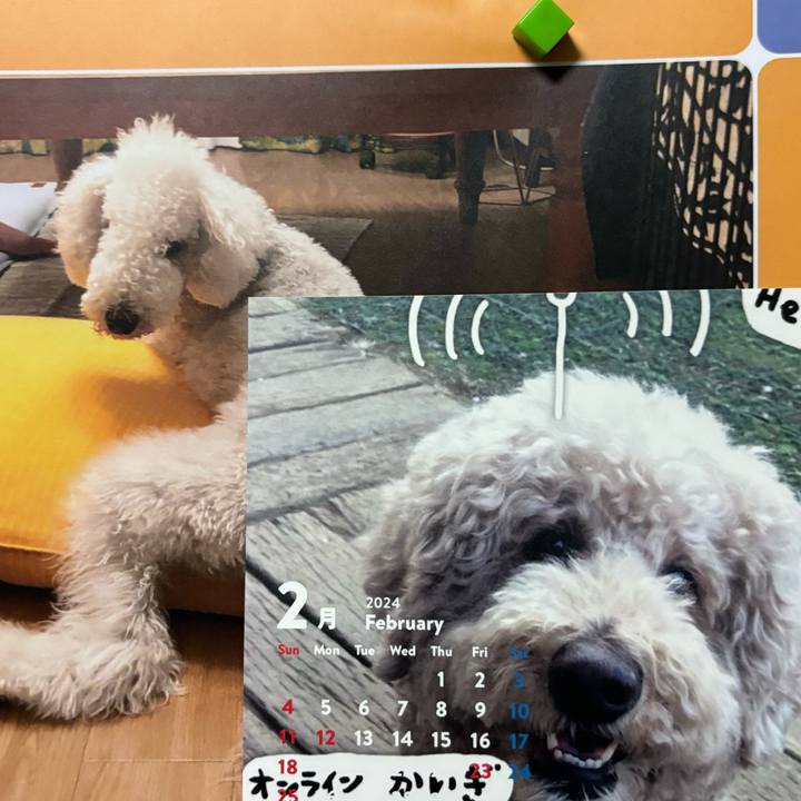 44fa38a4 1568 4a4f 95a2 ef9cee667996 1706738490577