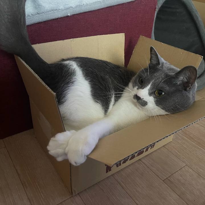 44fa651b 5d3f 439e 849b d5643a9ed335 1646986523337