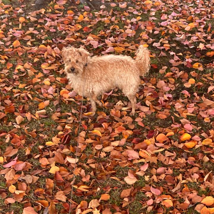 44fa6741 5d44 4f64 bd51 079afffc6d1c 1635306277503