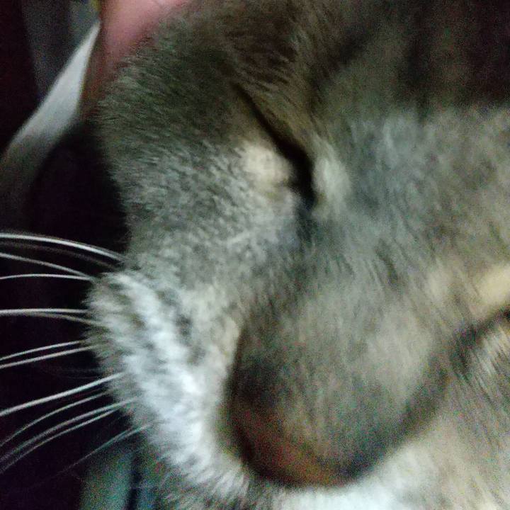 44fa7d58 d48b 4661 b2c4 3414cd4dce99 1685359258816