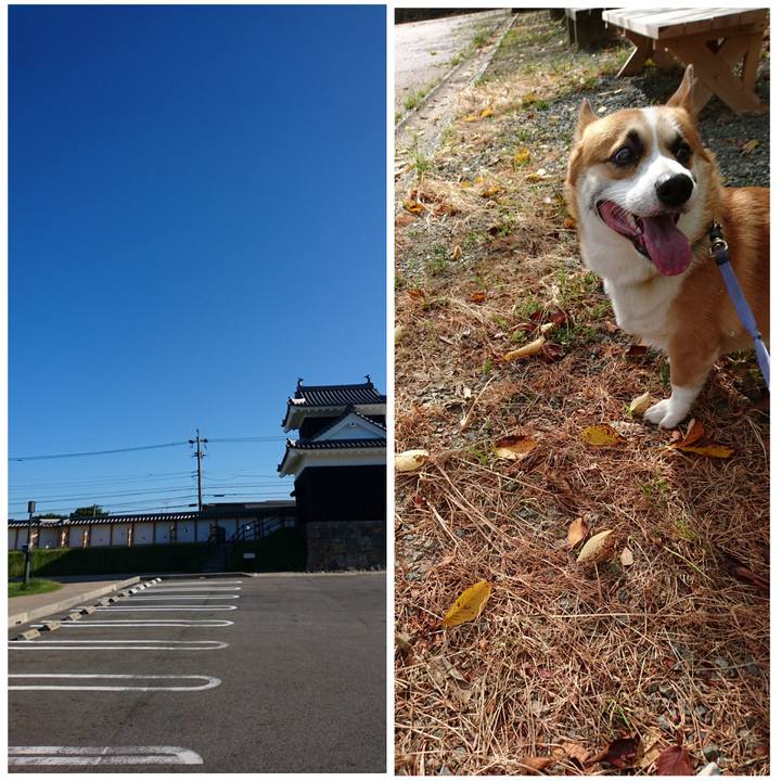 44fa9a95 bb95 4075 8e25 dcd93ff63946 1601251086792