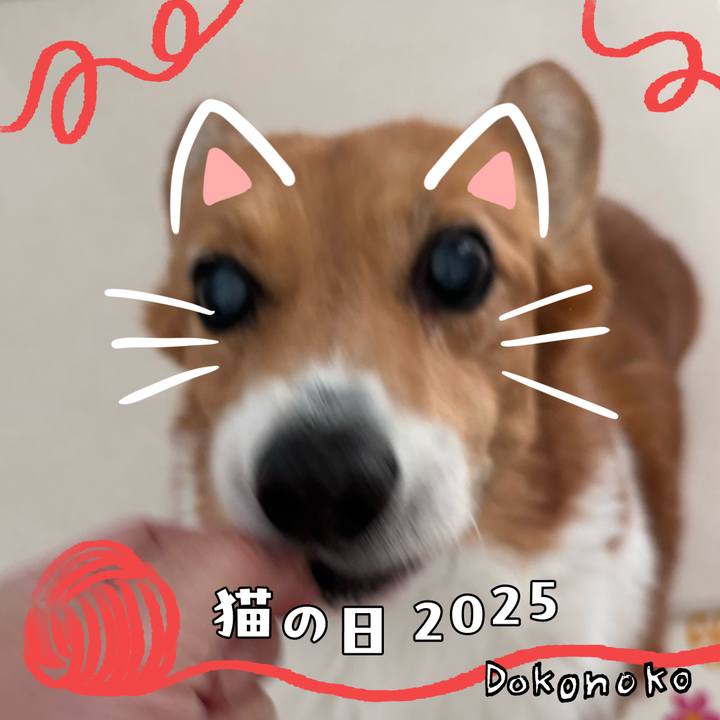 44faa002 ccda 491e bf46 e9615b01258e 1740194178182