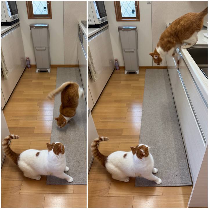 44facb92 65c8 4e02 b3d0 a17002aa7c0d 1763087603989