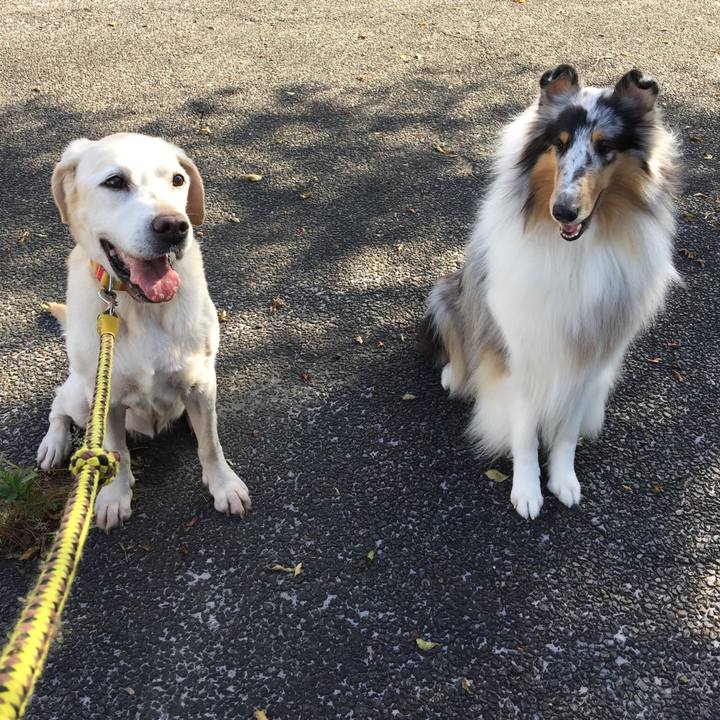 44fb16d9 fd38 478b b03e 36434c5a2a7c 1539498260798