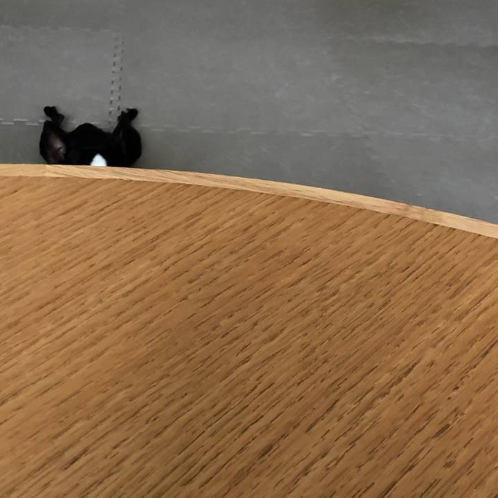 44fb2fad ed1e 42c4 b53b 531bd507a0b5 1623911005010