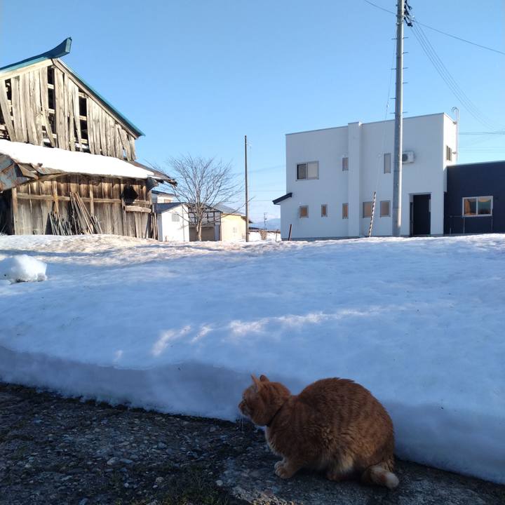 44fb47e5 db4d 42d6 a6e3 4208343d4e56 1706597855742