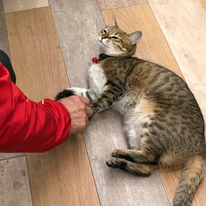 44fb6b5b 7479 4ff0 a533 7221792eba4b 1612788401101