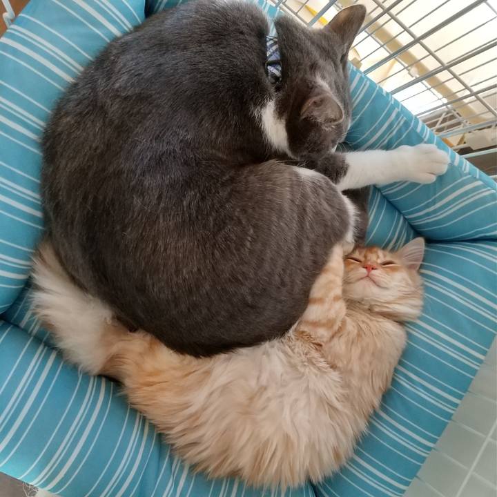 44fbda4e 9dc9 45cc 9e0d f952081fd693 1615970939985