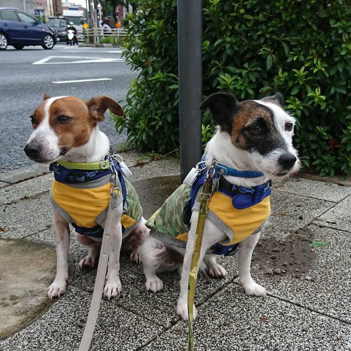 44fbe24c fd31 49fa a698 8bef093ed7fc 1567984861752