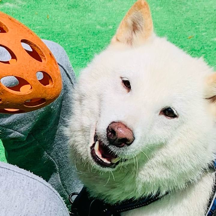 44fc18e0 d116 4250 ab45 9db90557d2e0 1655779386759