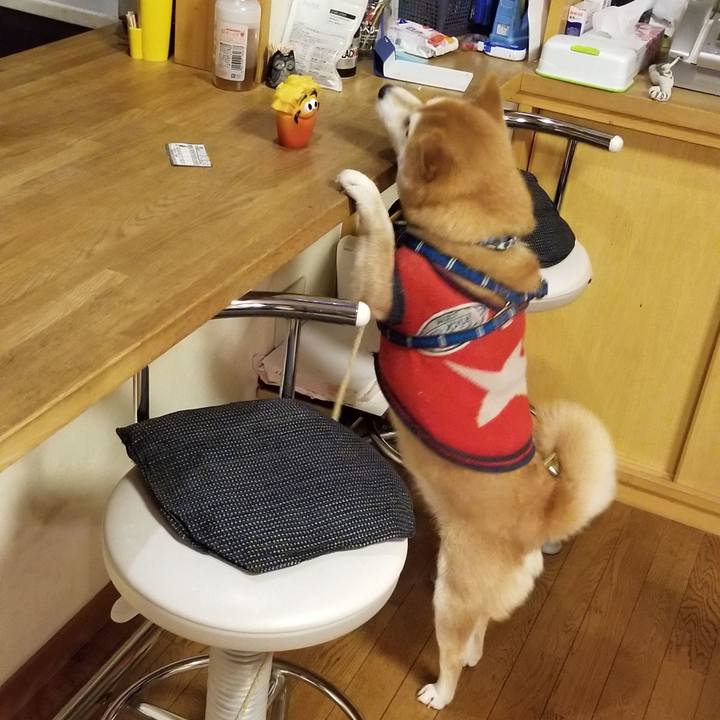 44fc2161 3fed 437c 8422 4fbc18f17481 1544360377211