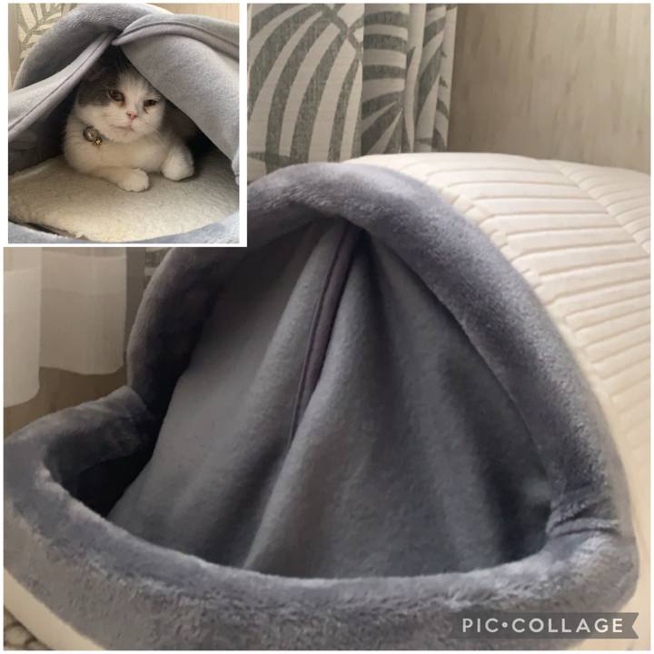 44fc25eb d050 4c25 a18e 6f8cdb0472e6 1674469324494