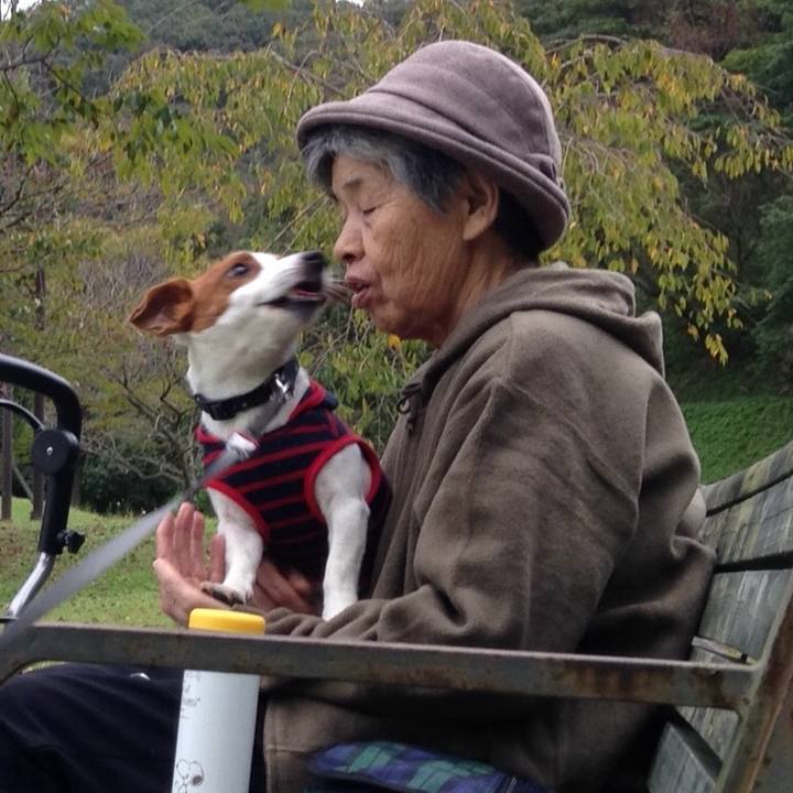 44fc4c81 d477 42be 9b67 a7ccadd1b88c 1508310434106