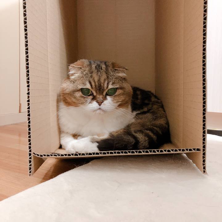 44fc6df5 acde 4720 aaa0 4e7e73482629 1559917847767