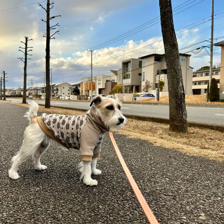 44fc8054 f856 4528 9e9f 1aff1c106027 1704638852782