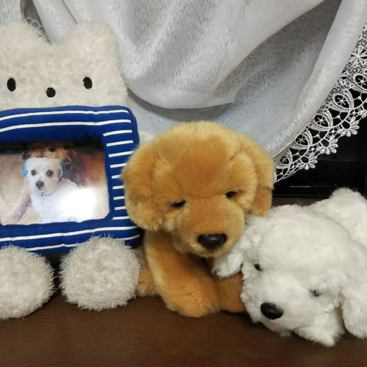 44fc8db0 5bd3 4a6f a5fd 3062ef37decb 1517324141325