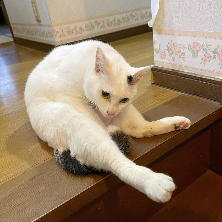 44fc95d4 6028 4bf5 a757 6b9818a67d23 1769381596966